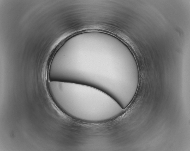 X0000113061127200908280941