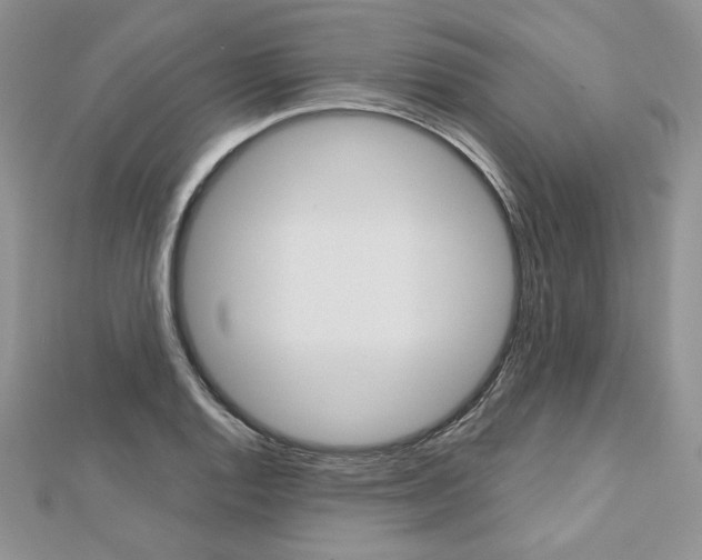 X0000113061128200908280941