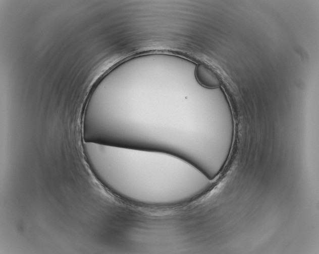 X0000113061129200908280941
