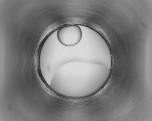 X0000113061130200908280941