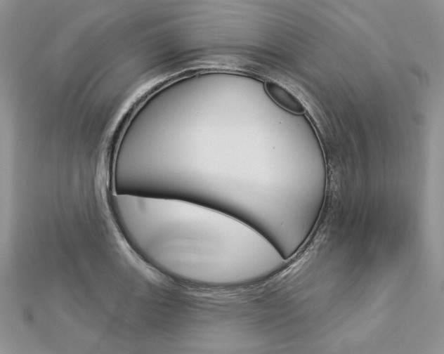 X0000113061131200908280941