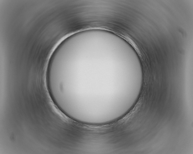 X0000113061132200908280941