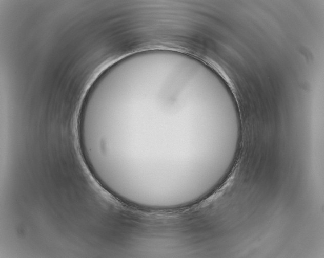 X0000113061133200908280941