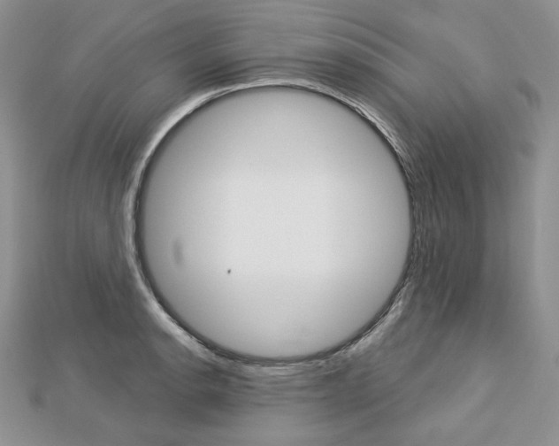 X0000113061134200908280941