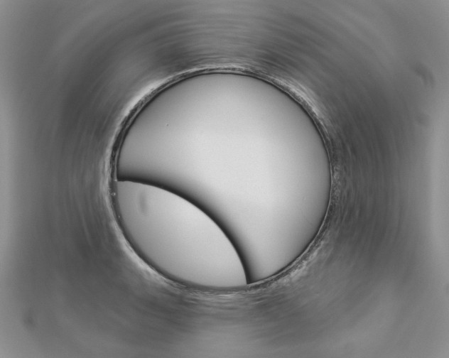 X0000113061135200908280941