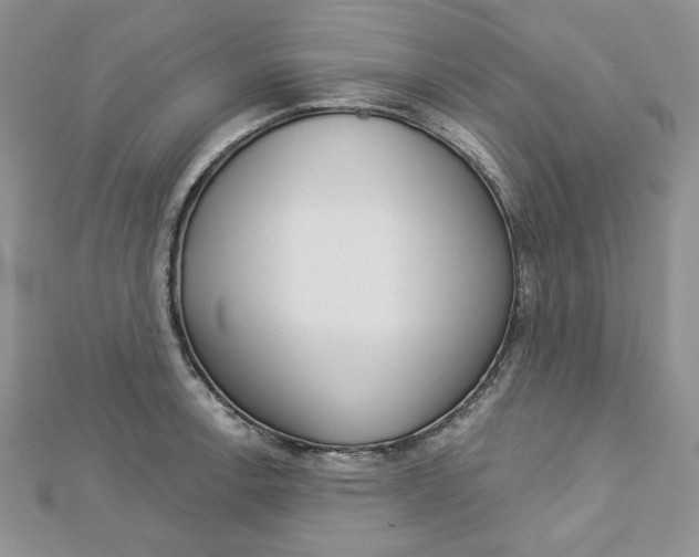 X0000113061138200908280941