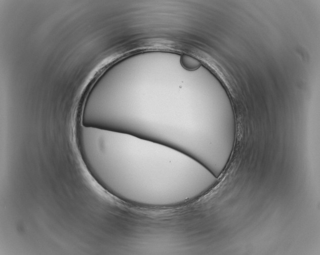 X0000113061139200908280941