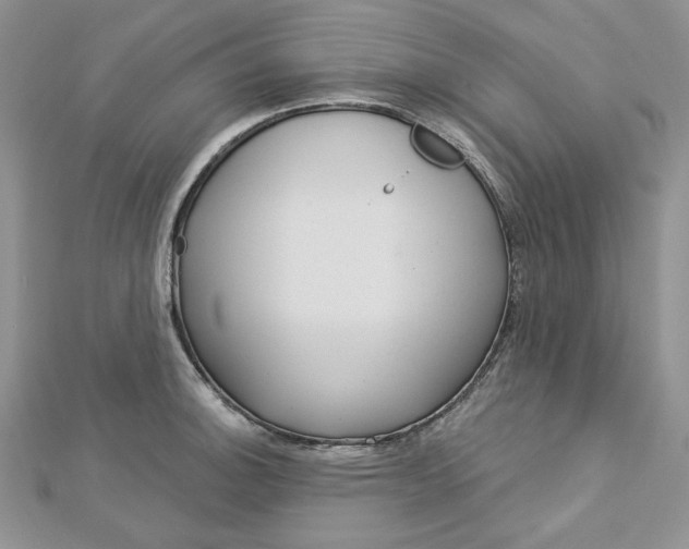 X0000113061140200908280942