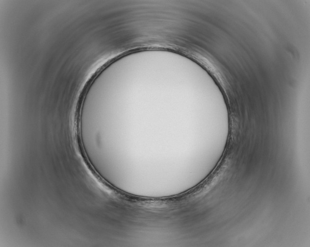 X0000113061141200908280942