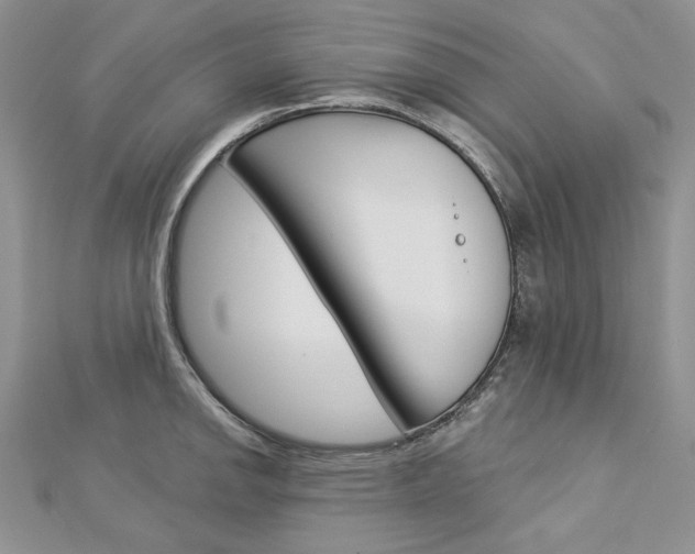 X0000113061142200908280942
