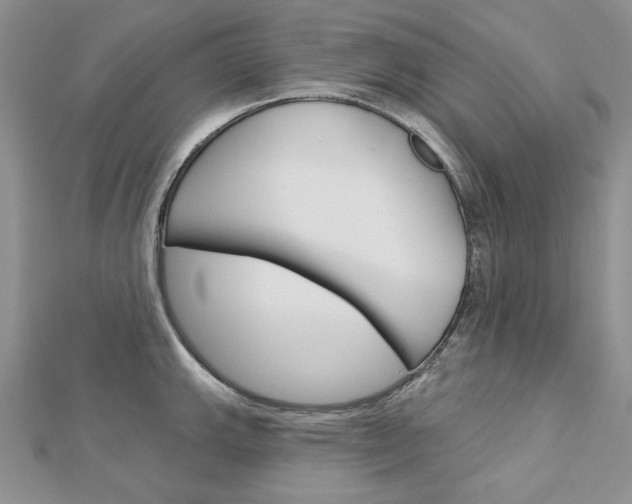 X0000113061143200908280942