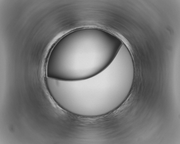 X0000113061144200908280942