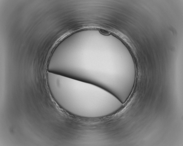 X0000113061145200908280942