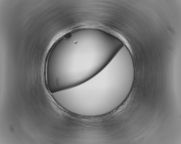 X0000113061146200908280942
