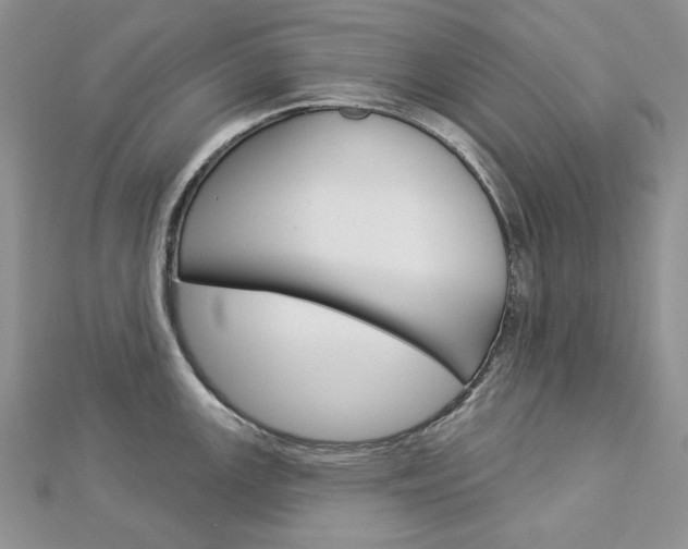 X0000113061147200908280942