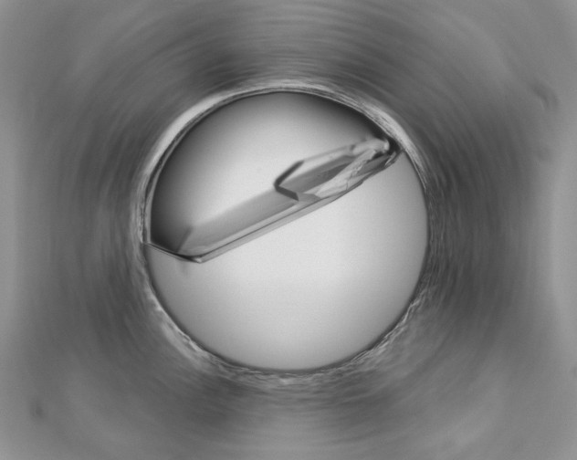 X0000113061148200908280942