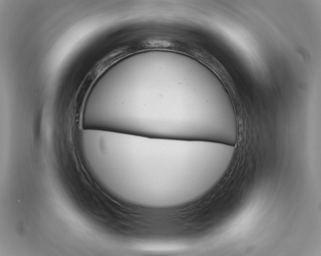 X0000113061151200908280942