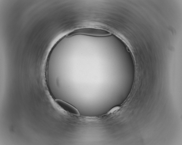 X0000113061152200908280942