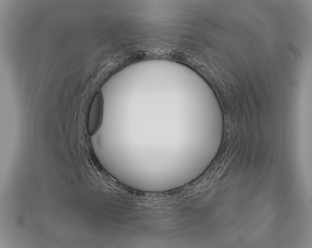 X0000113061153200908280941
