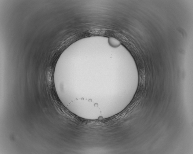 X0000113061154200908280941