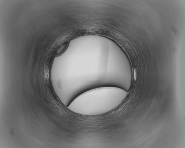 X0000113061155200908280941