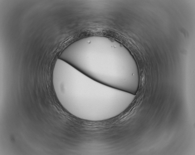 X0000113061156200908280941