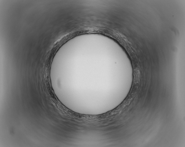 X0000113061158200908280941
