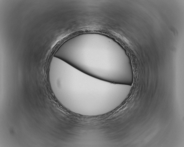 X0000113061160200908280941