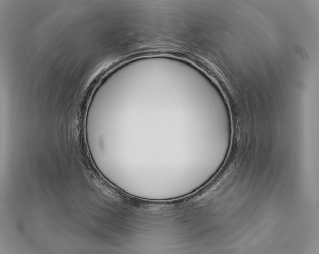 X0000113061163200908280941
