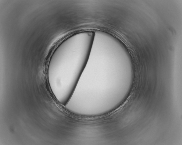 X0000113061164200908280941