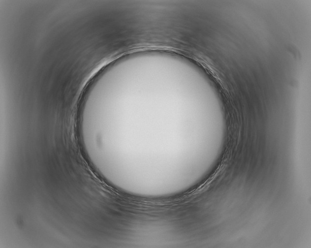 X0000113061165200908280941