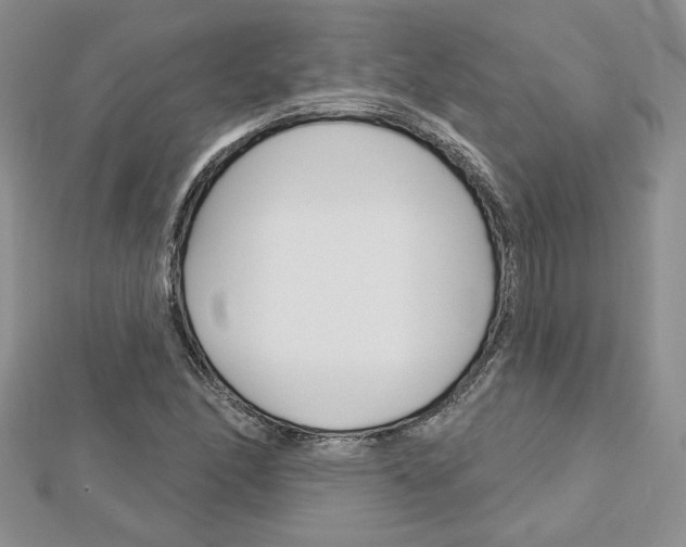 X0000113061166200908280941