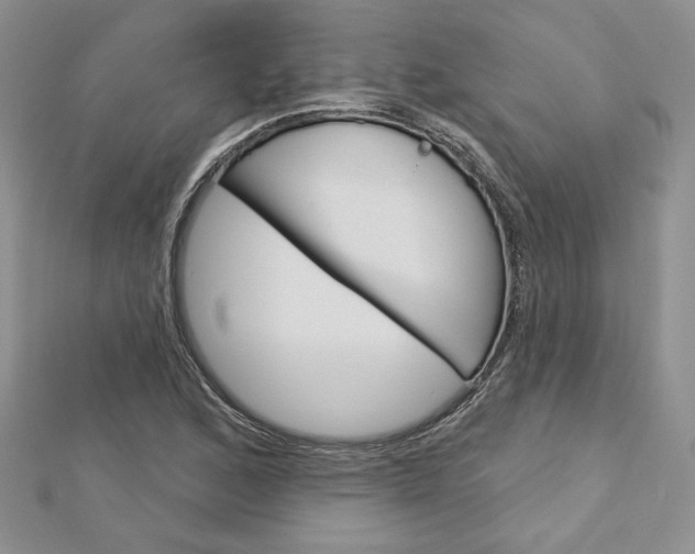 X0000113061168200908280941