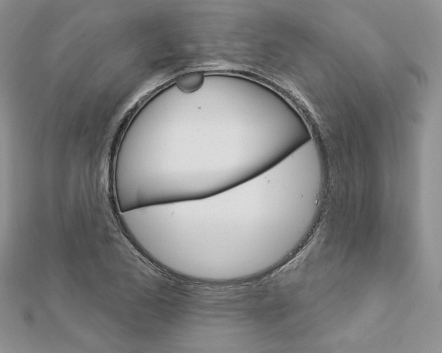 X0000113061173200908280941