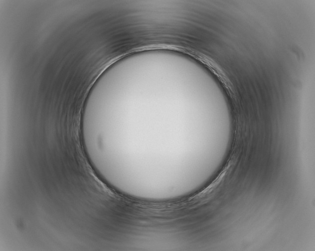 X0000113061177200908280941