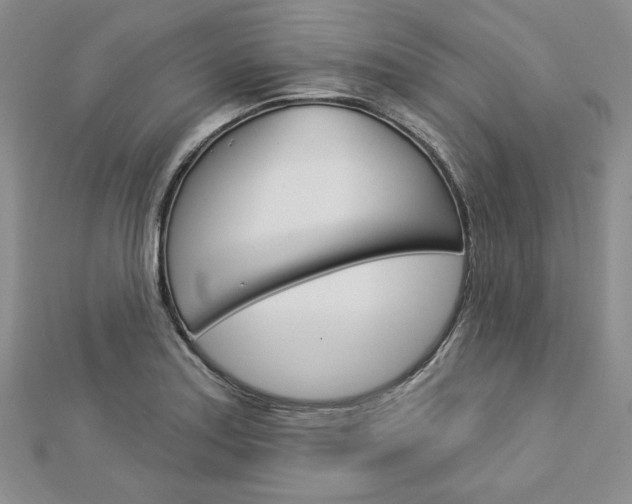 X0000113061179200908280941