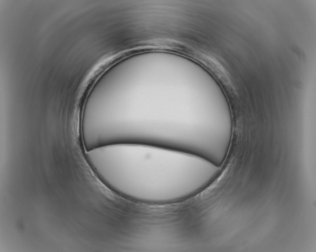 X0000113061180200908280941