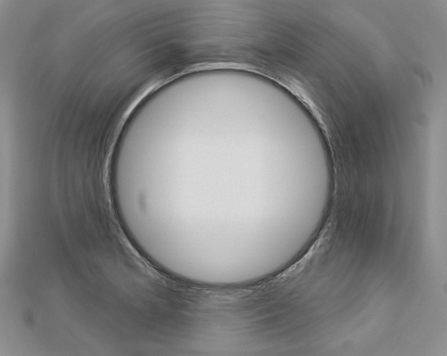 X0000113061181200908280941