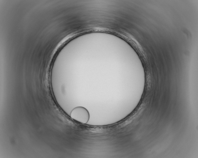 X0000113061182200908280940