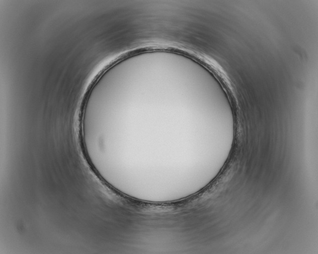 X0000113061183200908280940