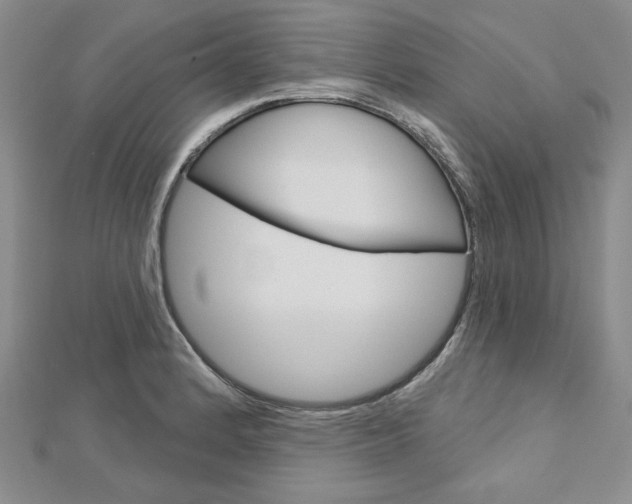 X0000113061184200908280940