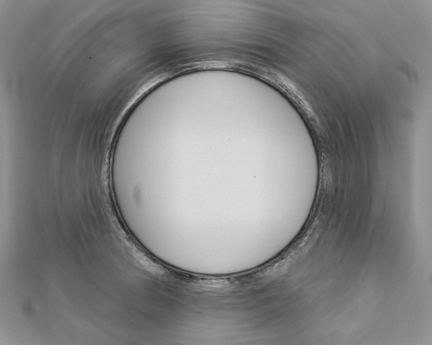 X0000113061186200908280940