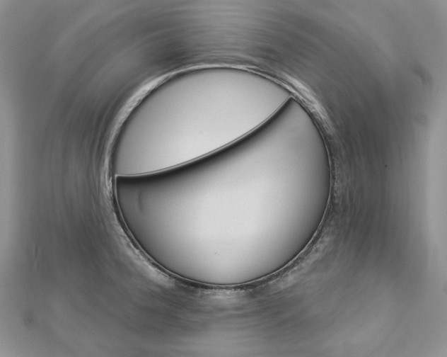 X0000113061188200908280940