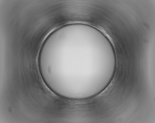 X0000113061189200908280940