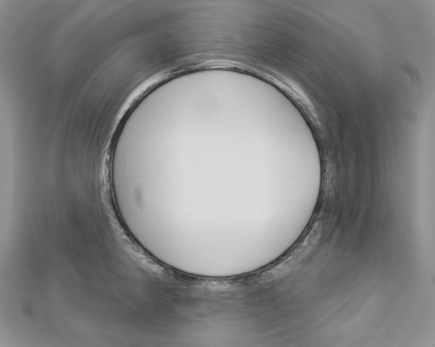 X0000113061190200908280940