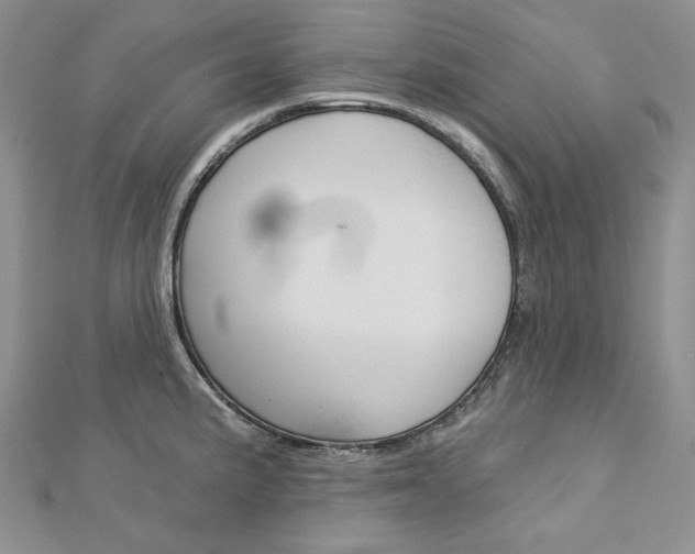 X0000113061191200908280940