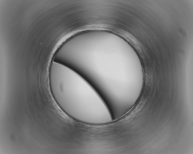 X0000113061192200908280940
