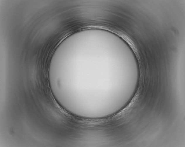 X0000113061193200908280940