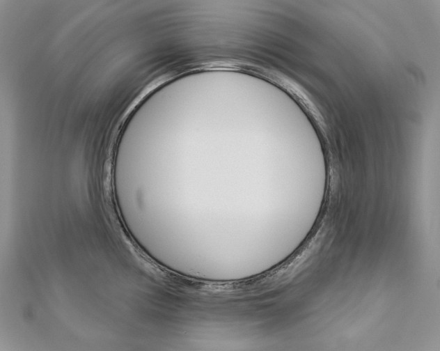 X0000113061194200908280940