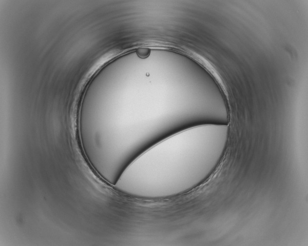 X0000113061195200908280940